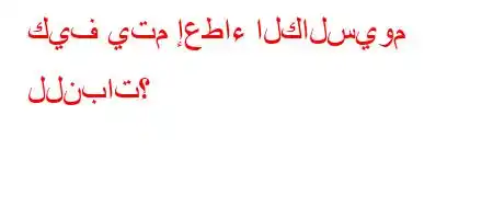 كيف يتم إعطاء الكالسيوم للنبات؟